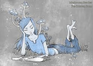 De lector a lector: Sofía recomienda…
